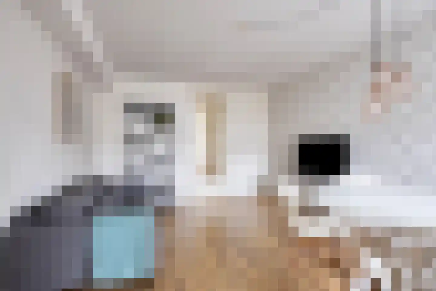 Blasiusstraat 96 D Amsterdam thumbnail 9