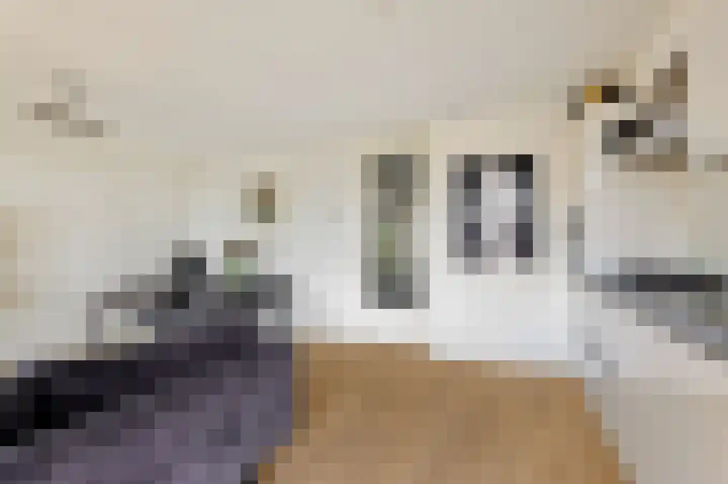 Blasiusstraat 98 D Amsterdam thumbnail 6
