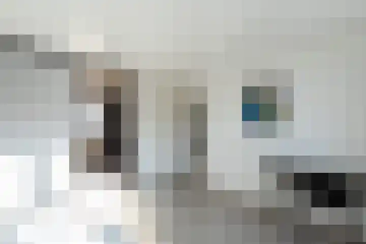 Blassekijnstraat 28 Bleskensgraaf ca thumbnail 13