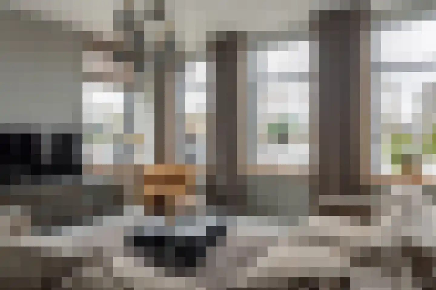 Blauforlaet 2 B Augustinusga thumbnail 10