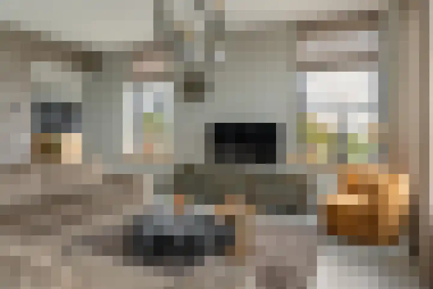 Blauforlaet 2 B Augustinusga thumbnail 11