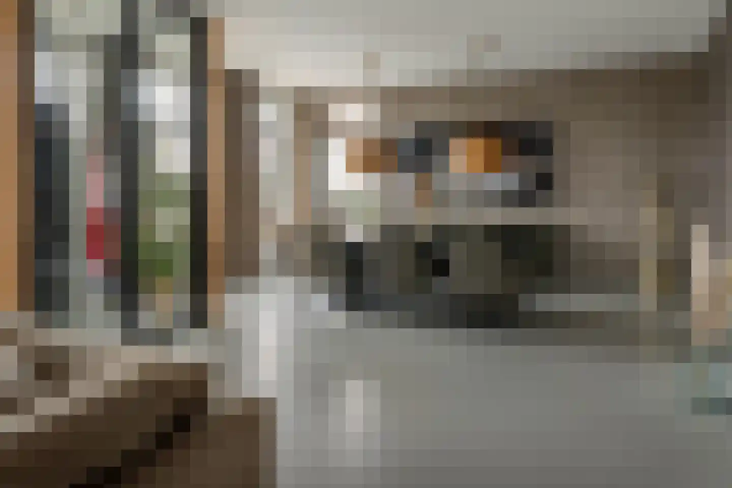 Blauforlaet 2 B Augustinusga thumbnail 12