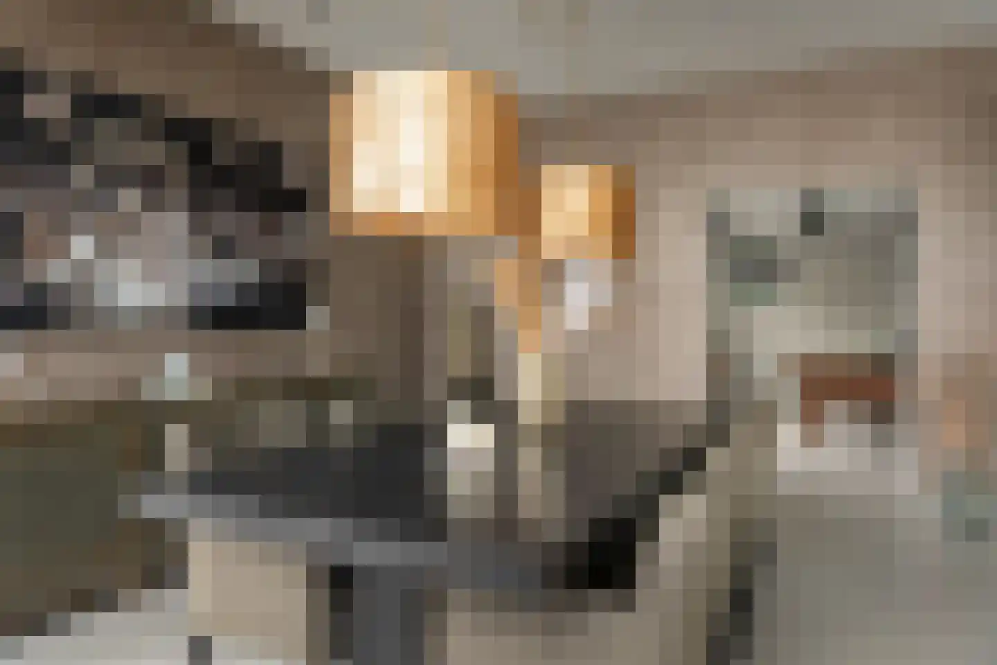 Blauforlaet 2 B Augustinusga thumbnail 14