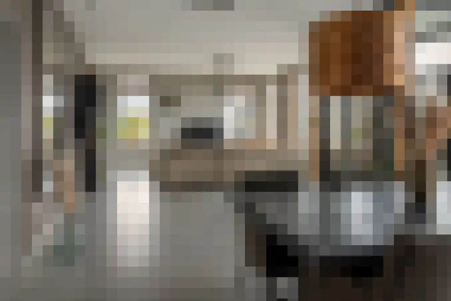 Blauforlaet 2 B Augustinusga thumbnail 16