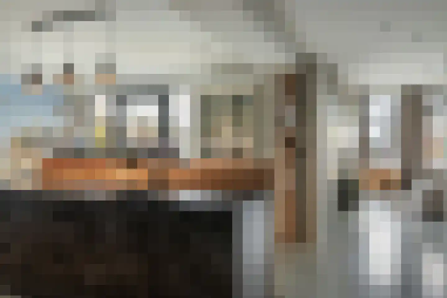 Blauforlaet 2 B Augustinusga thumbnail 17