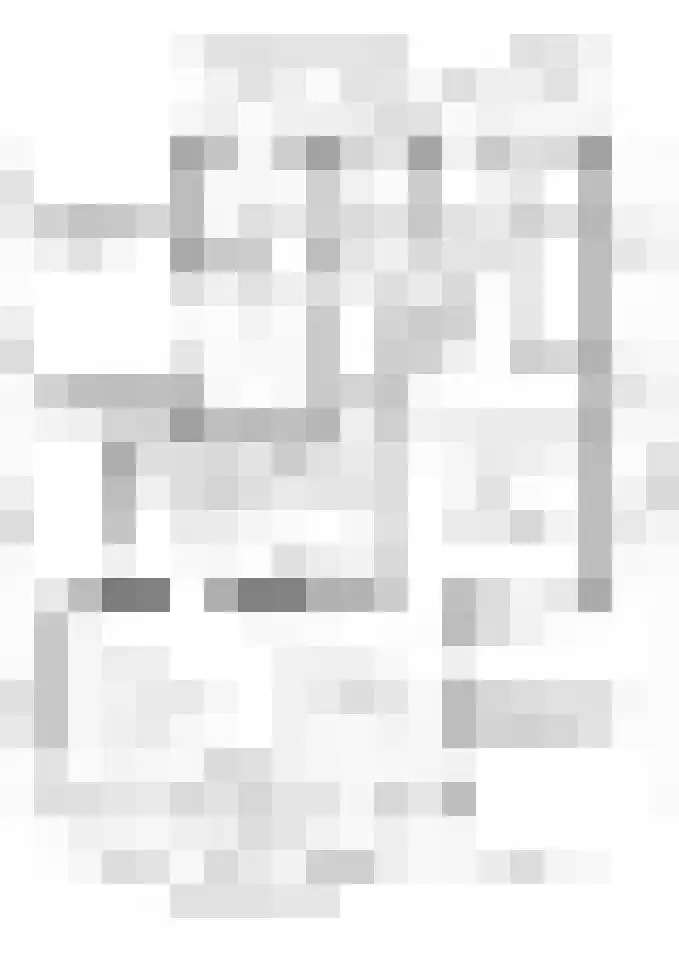 Blauforlaet 2 B Augustinusga thumbnail 20