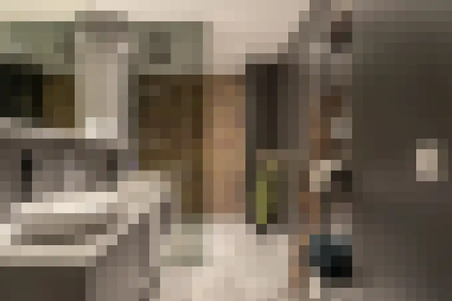 Blauforlaet 2 B Augustinusga thumbnail 22