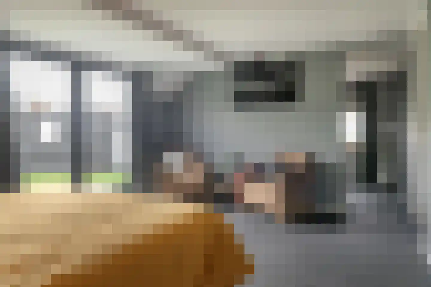 Blauforlaet 2 B Augustinusga thumbnail 23