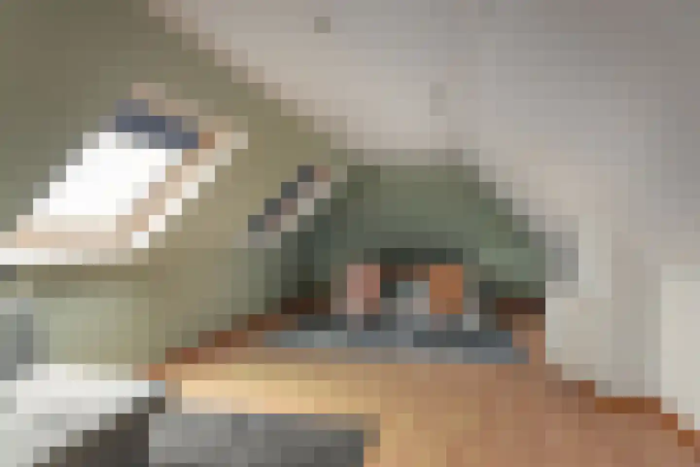 Blauforlaet 2 B Augustinusga thumbnail 29