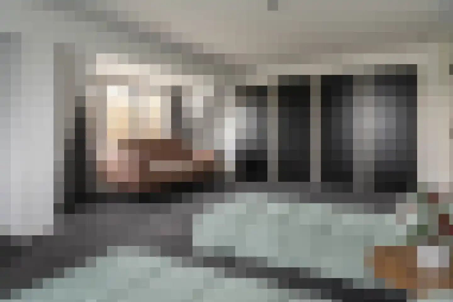 Blauforlaet 2 B Augustinusga thumbnail 39