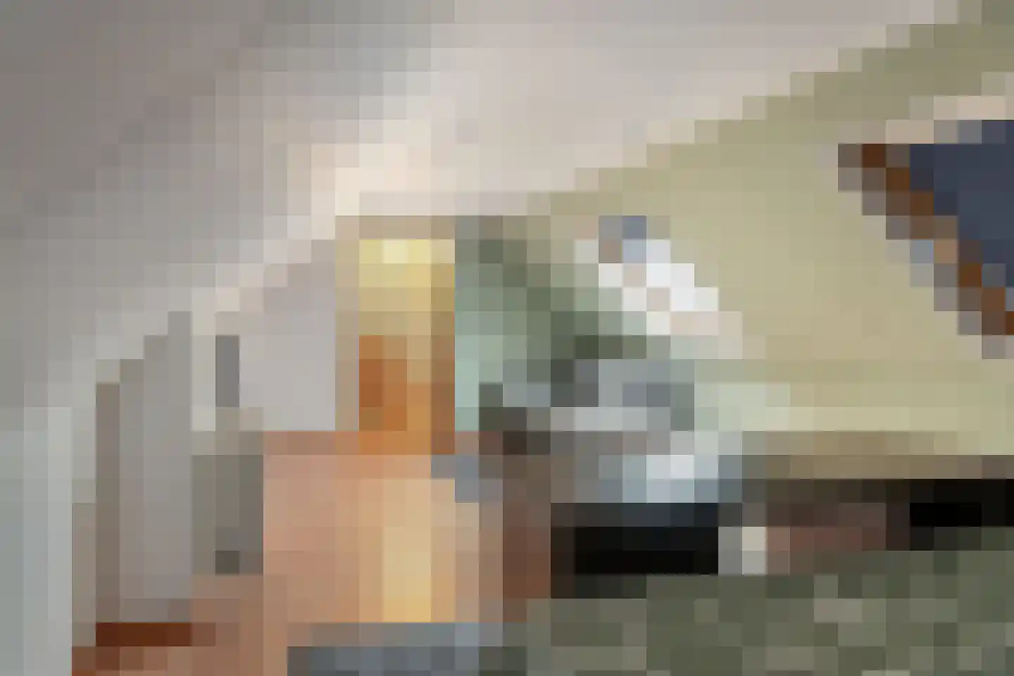 Blauforlaet 2 B Augustinusga thumbnail 42