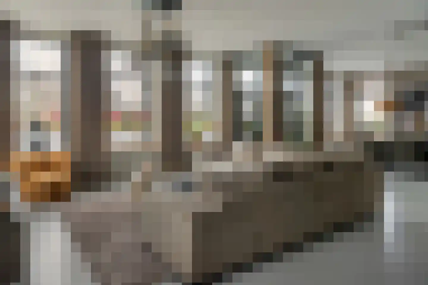 Blauforlaet 2 B Augustinusga thumbnail 7