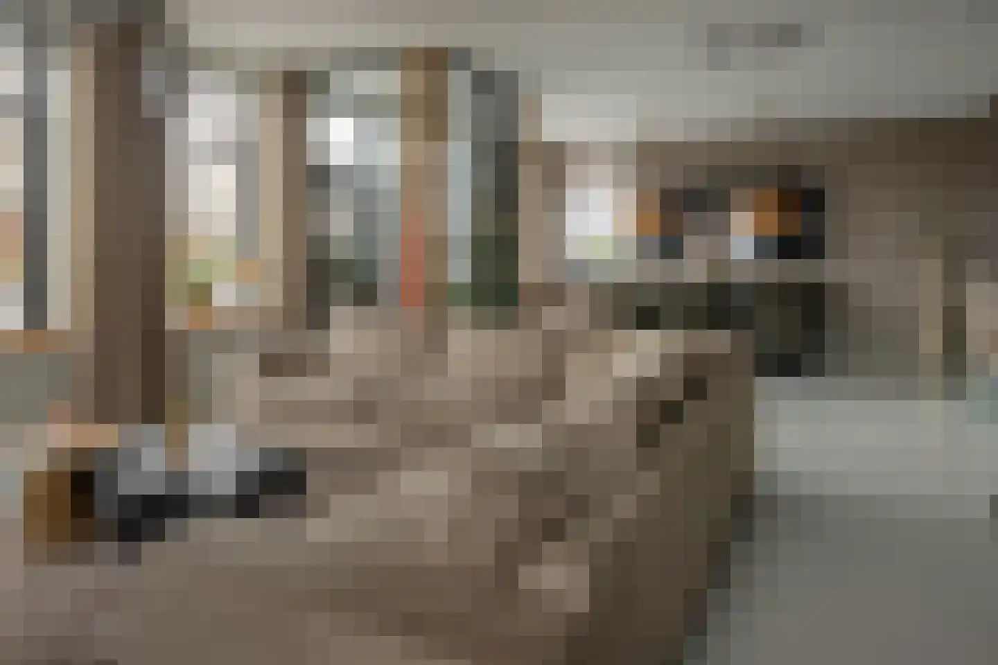 Blauforlaet 2 B Augustinusga thumbnail 8
