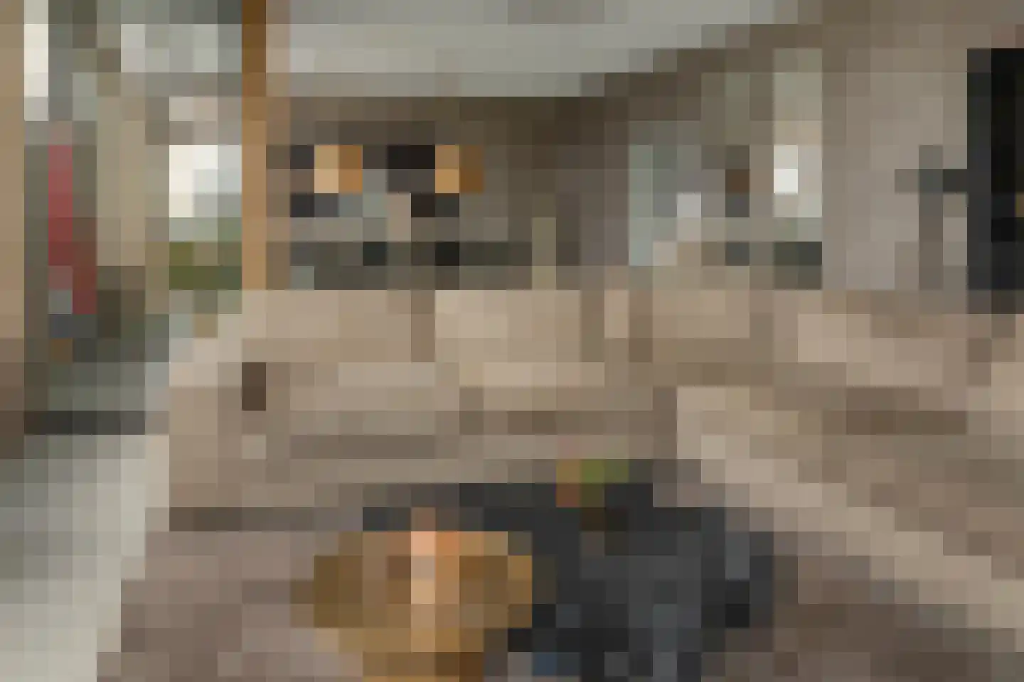 Blauforlaet 2 B Augustinusga thumbnail 9