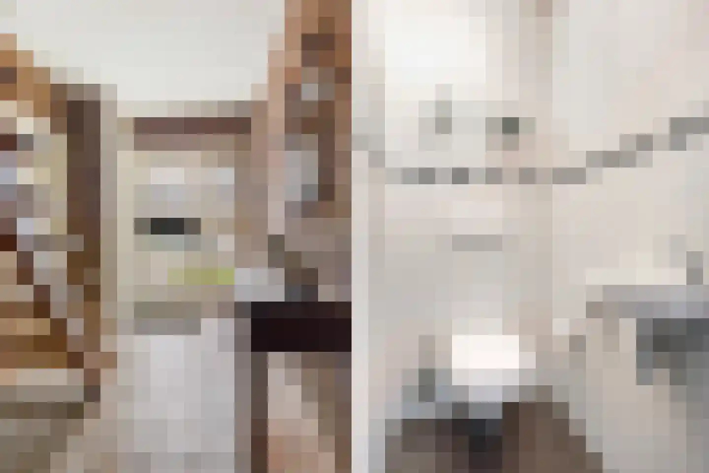 Blauhússtrjitte 14 Damwâld thumbnail 10