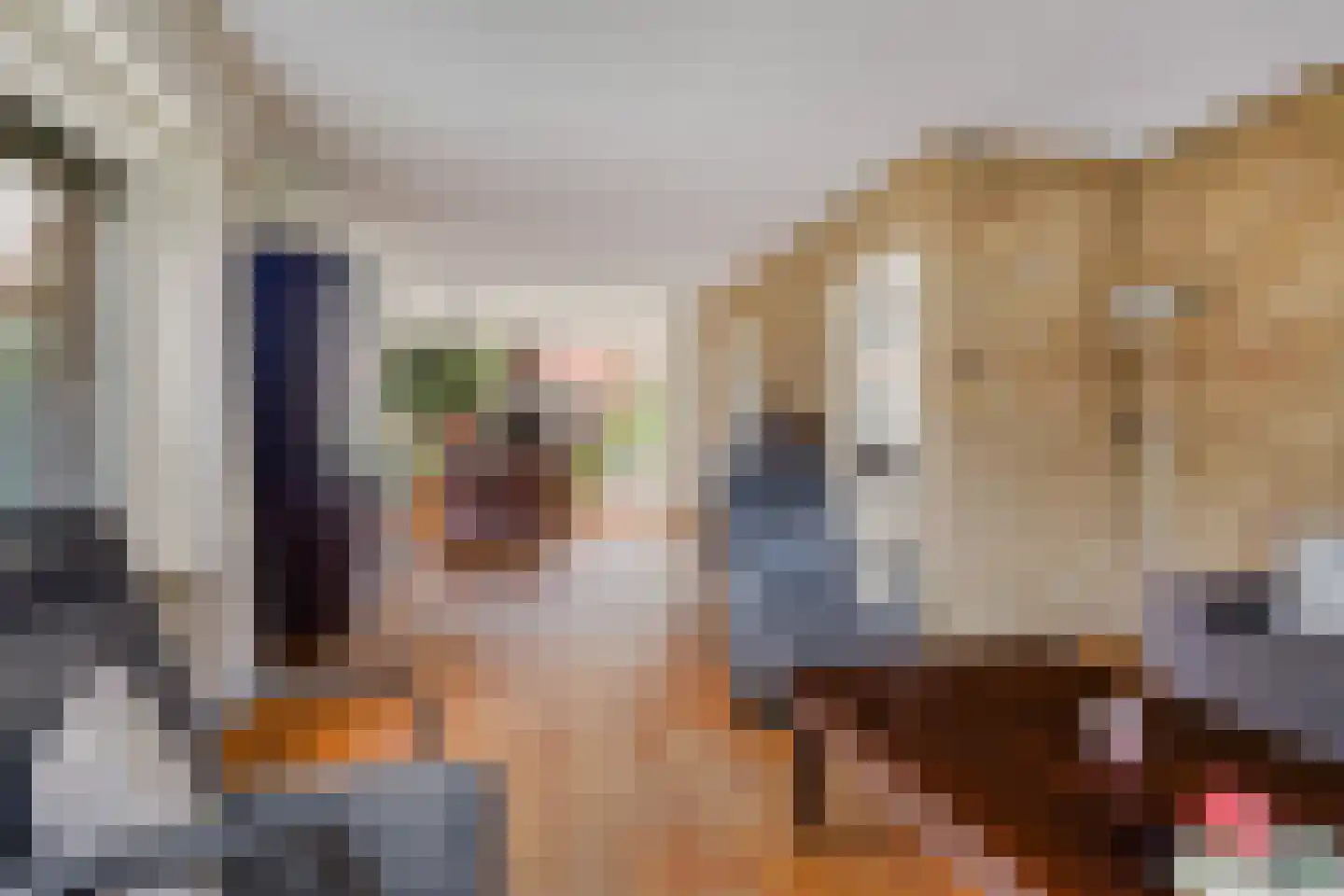 Blauhússtrjitte 14 Damwâld thumbnail 13