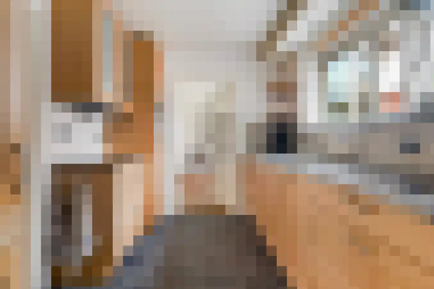 Blauhússtrjitte 14 Damwâld thumbnail 15