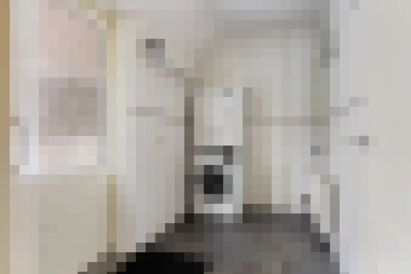 Blauhússtrjitte 14 Damwâld thumbnail 17