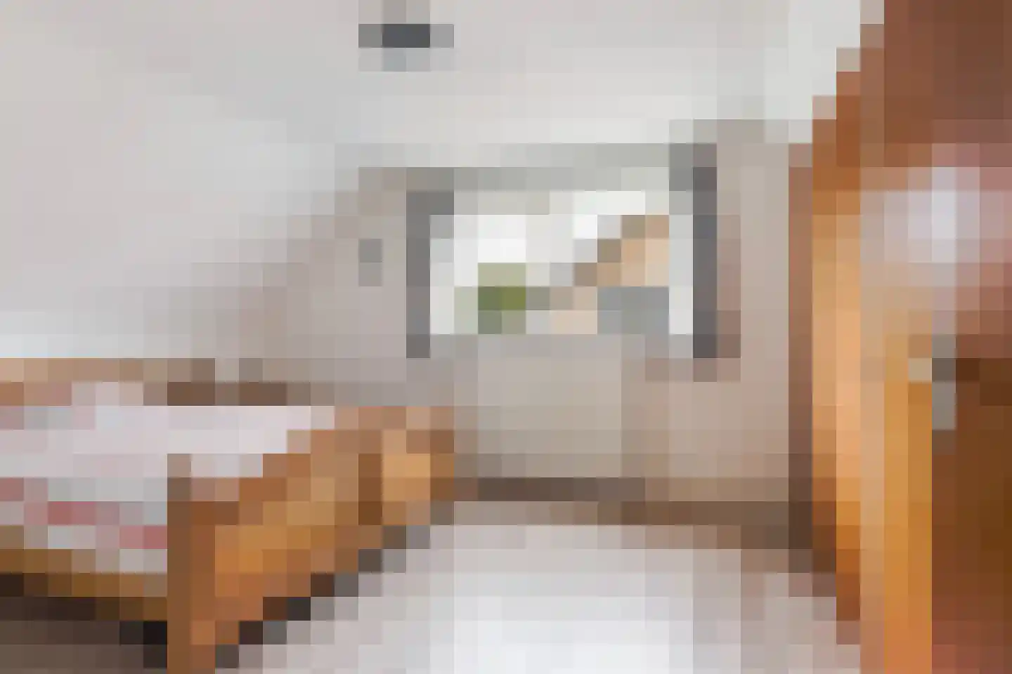 Blauhússtrjitte 14 Damwâld thumbnail 24