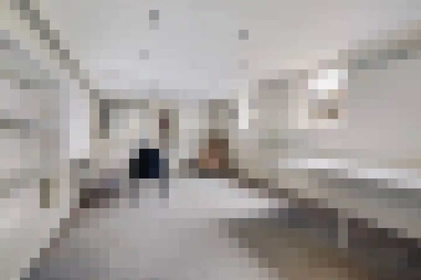 Blauhússtrjitte 14 Damwâld thumbnail 32