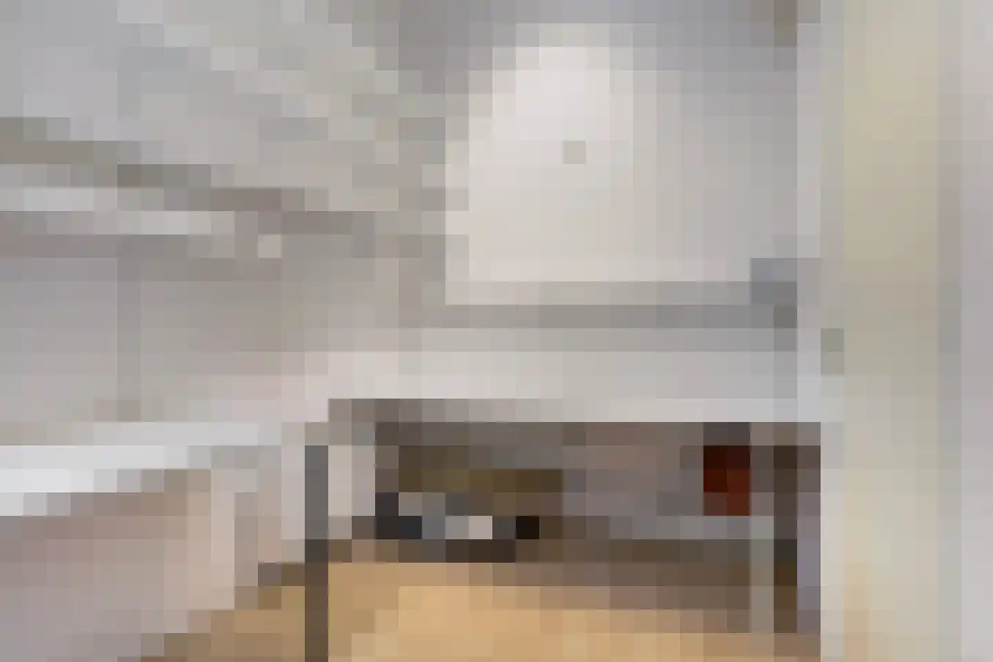 Blauhússtrjitte 14 Damwâld thumbnail 33