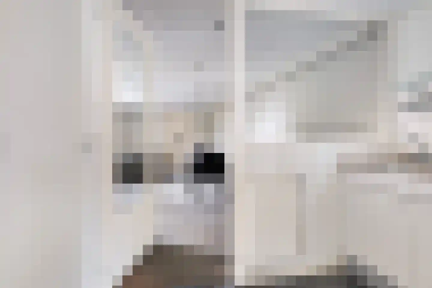 Blauhússtrjitte 14 Damwâld thumbnail 34