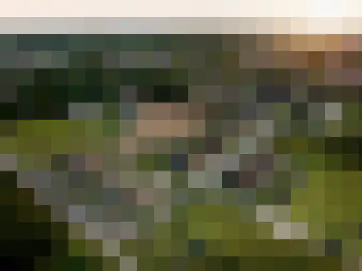 Blauw Campen 22 Sint Anthonis thumbnail 6