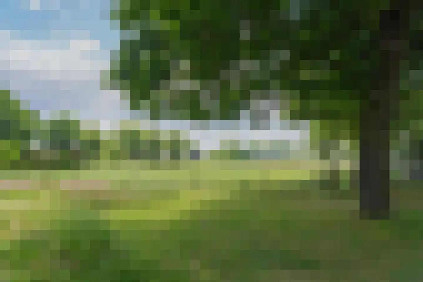 Blauw Campen 40 Sint Anthonis thumbnail 15