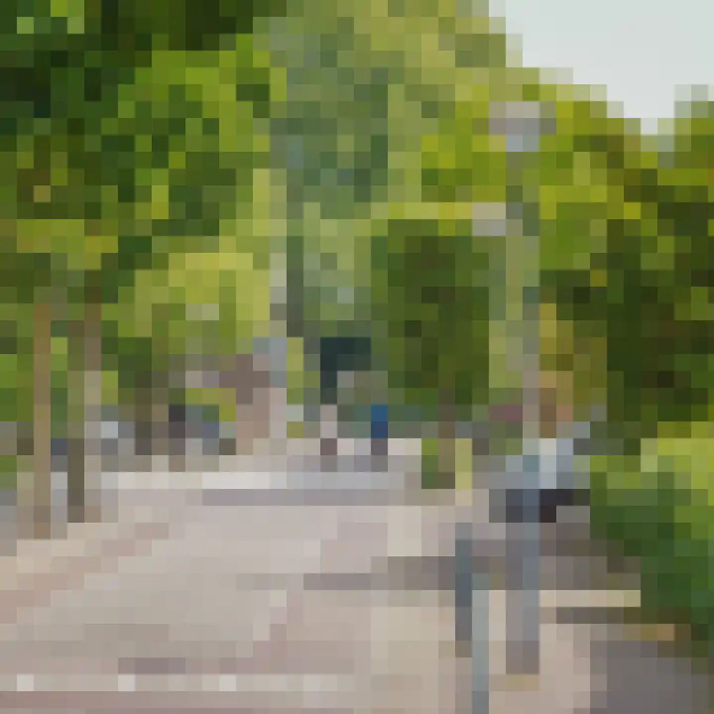 Blauw Campen 40 Sint Anthonis thumbnail 17