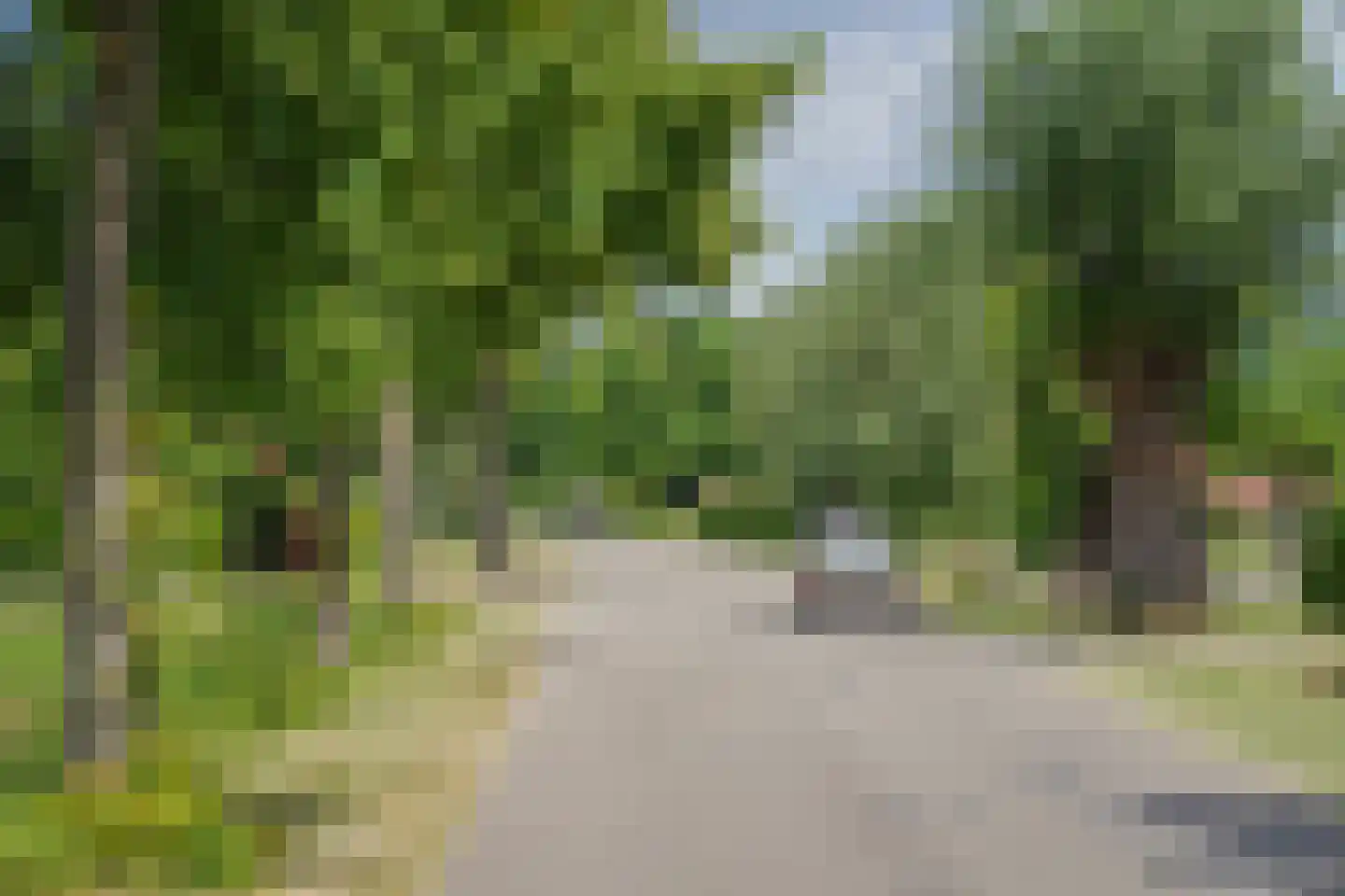 Blauw Campen 45 Sint Anthonis thumbnail 11