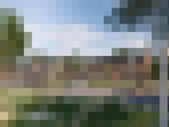 Blauw Campen 45 Sint Anthonis thumbnail 5