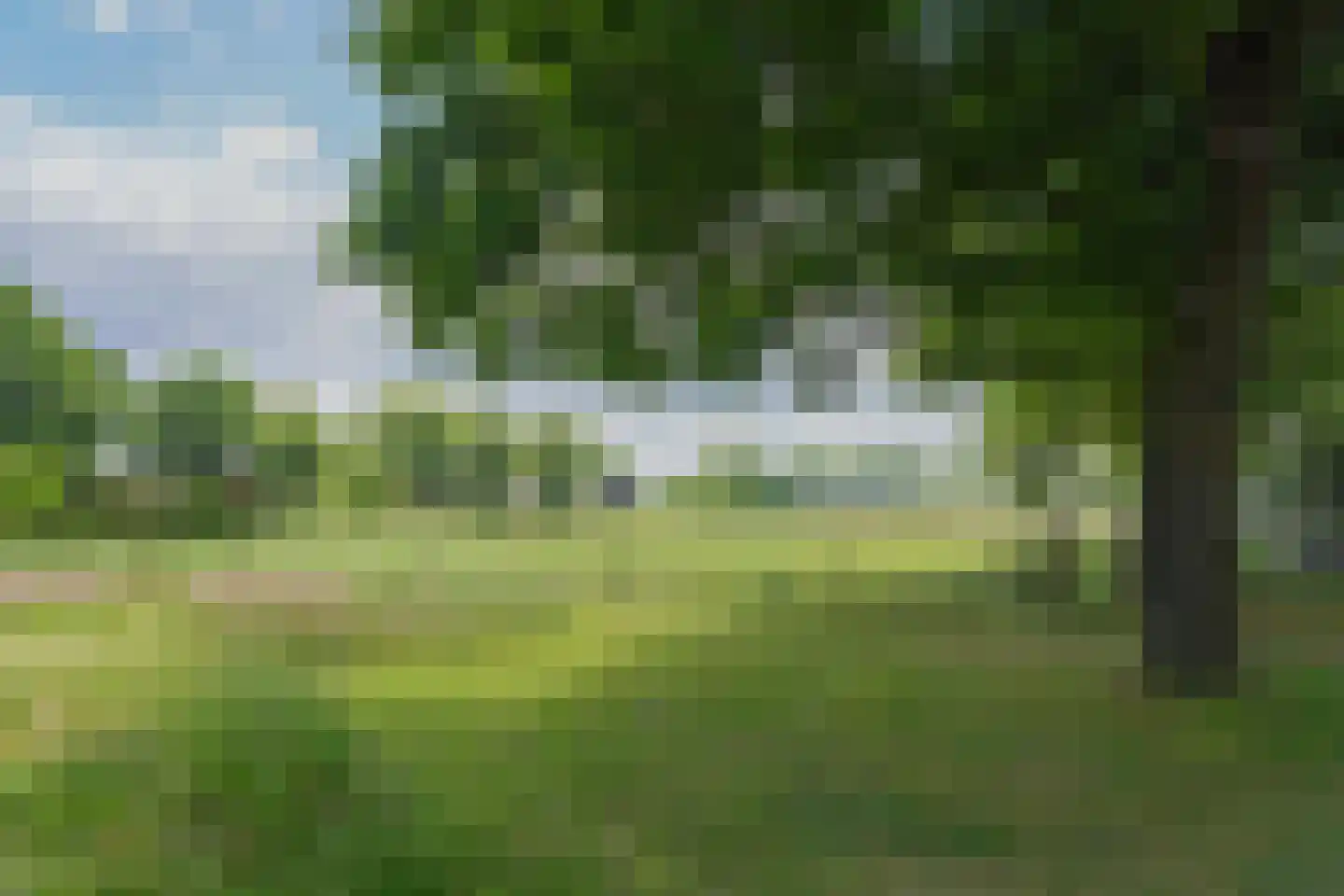 Blauw Campen 46 Sint Anthonis thumbnail 15