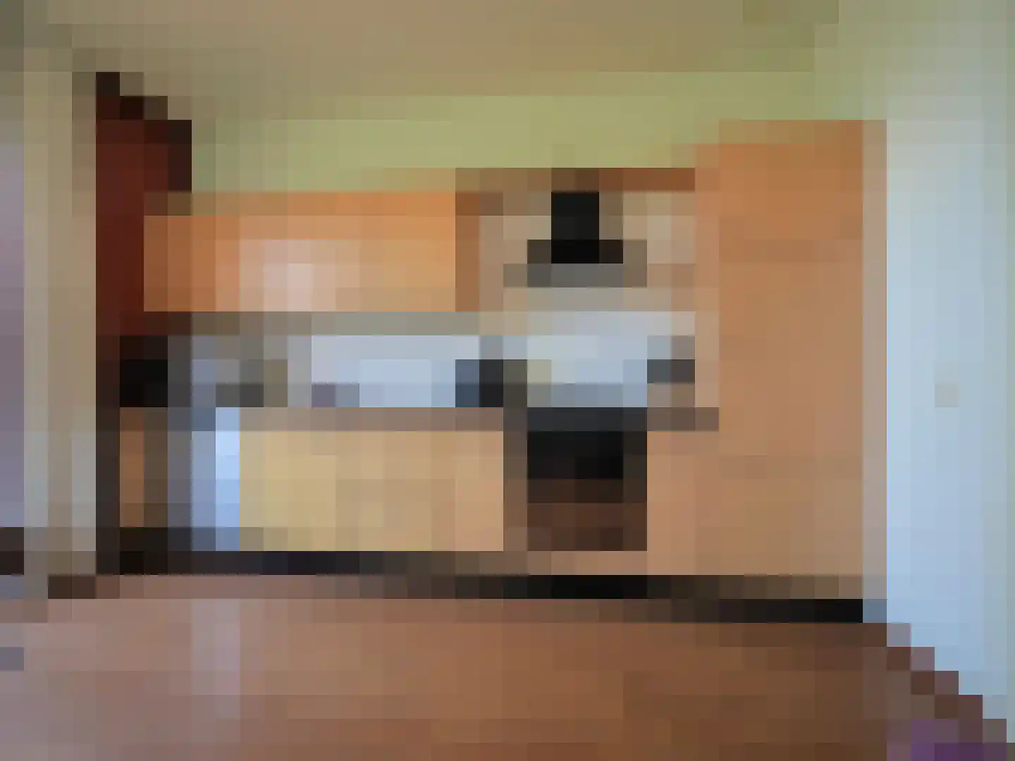 Blauw druifje 1 Papendrecht thumbnail 11