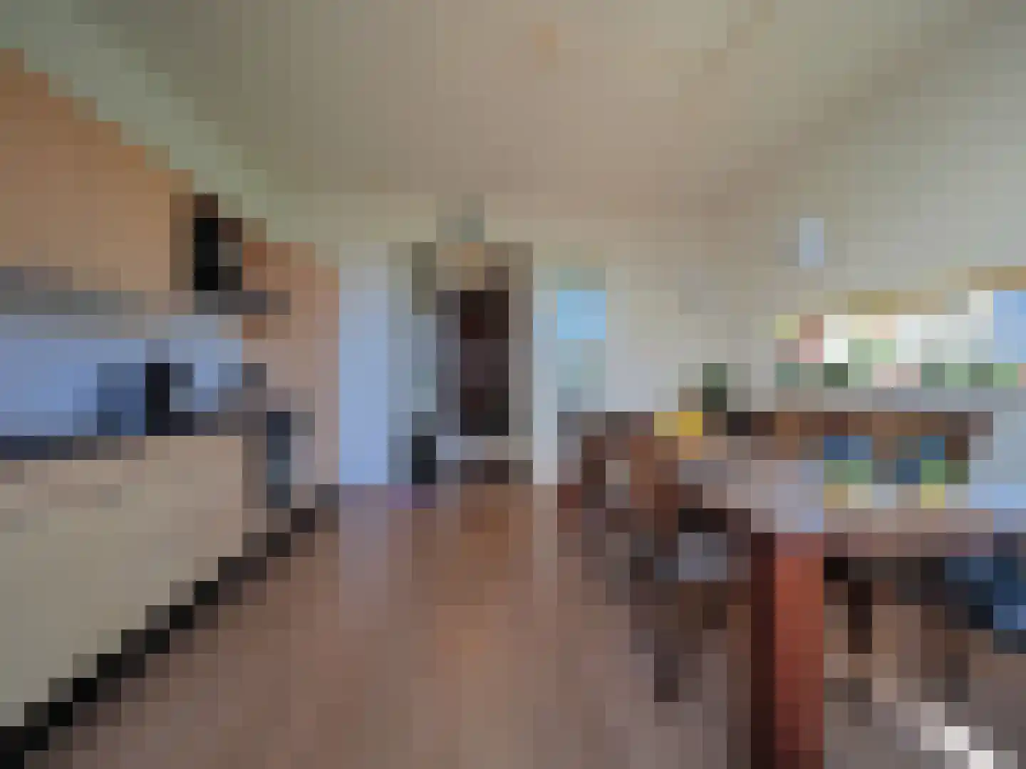 Blauw druifje 1 Papendrecht thumbnail 12