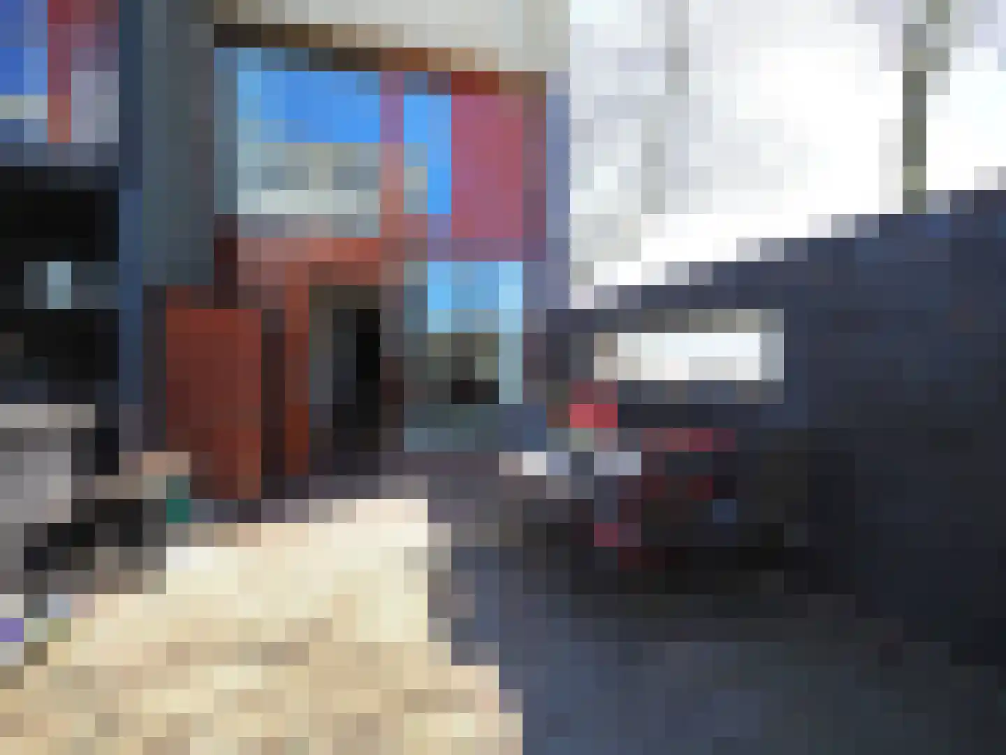 Blauw druifje 1 Papendrecht thumbnail 13
