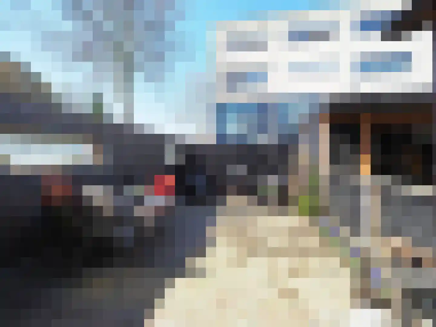 Blauw druifje 1 Papendrecht thumbnail 14