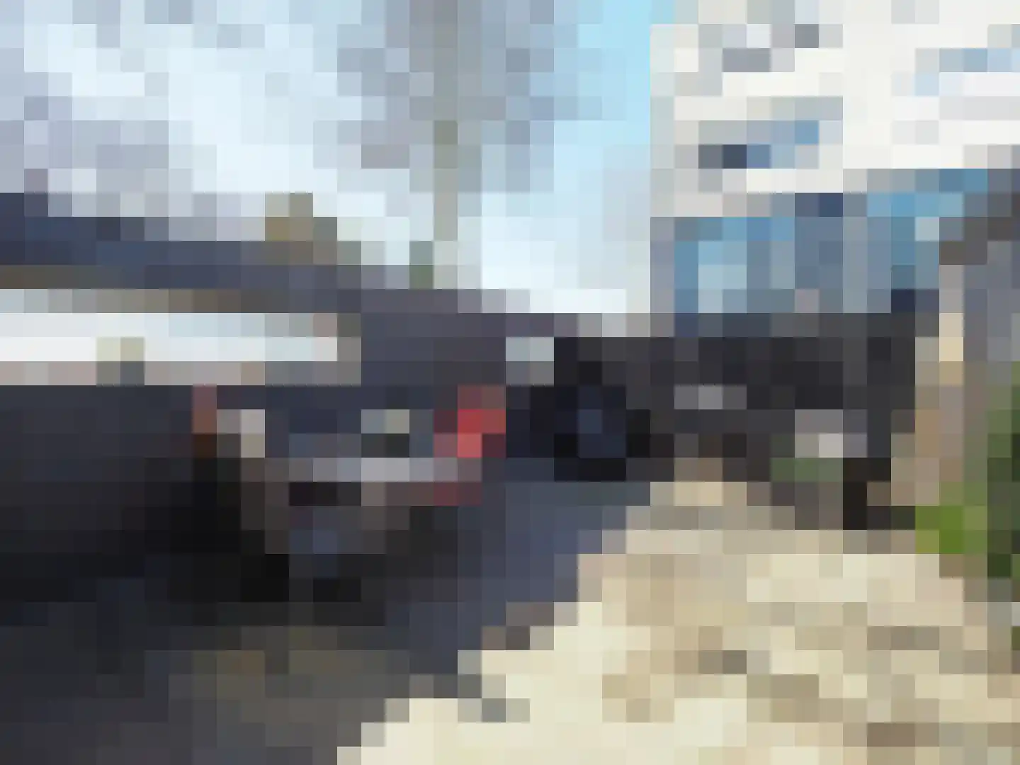 Blauw druifje 1 Papendrecht thumbnail 15