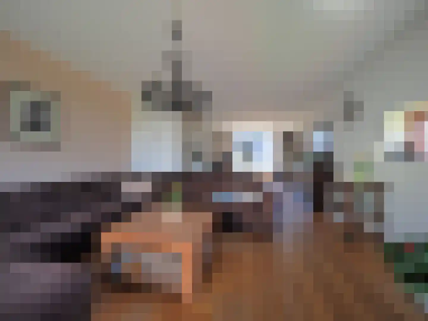 Blauw druifje 1 Papendrecht thumbnail 20