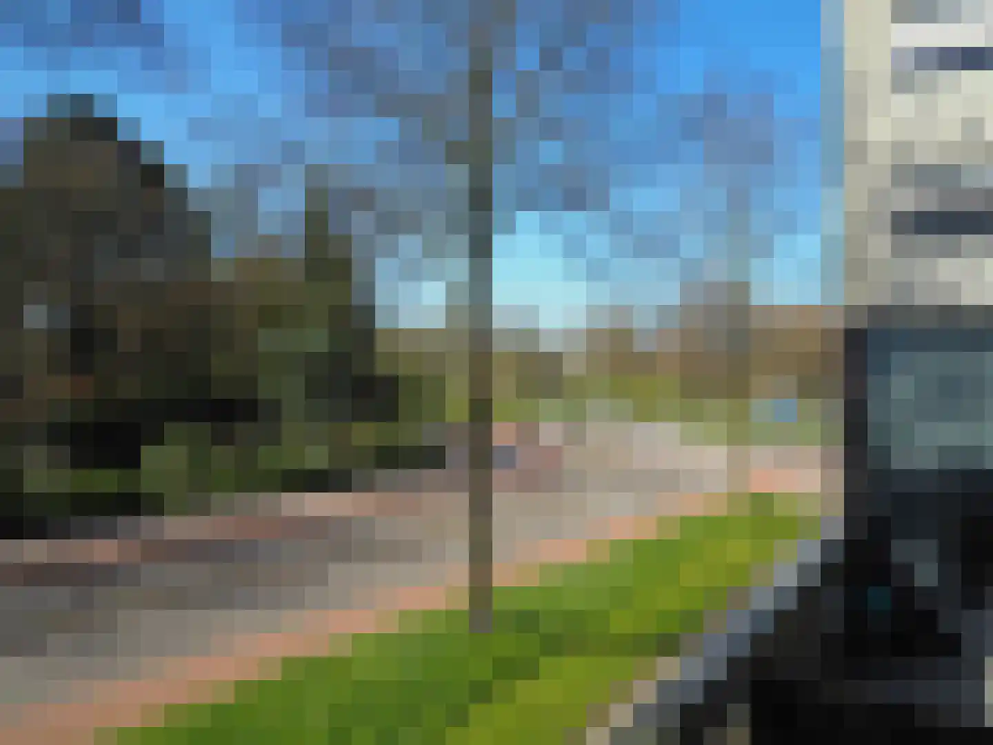 Blauw druifje 1 Papendrecht thumbnail 22
