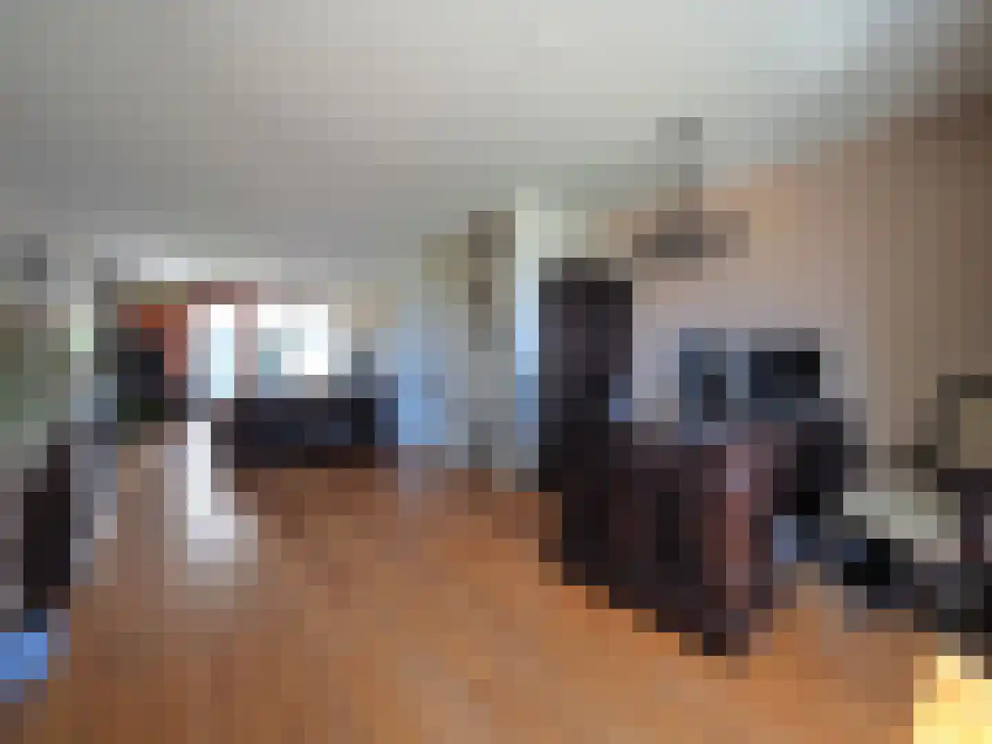 Blauw druifje 1 Papendrecht thumbnail 26