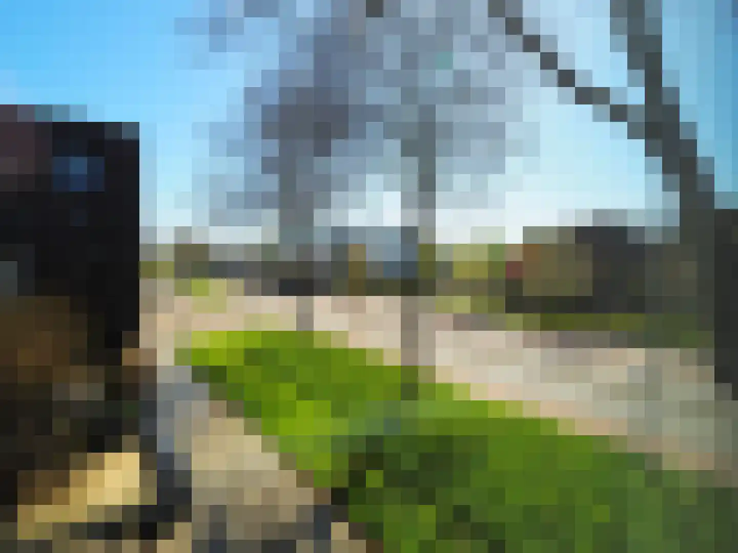 Blauw druifje 1 Papendrecht thumbnail 28