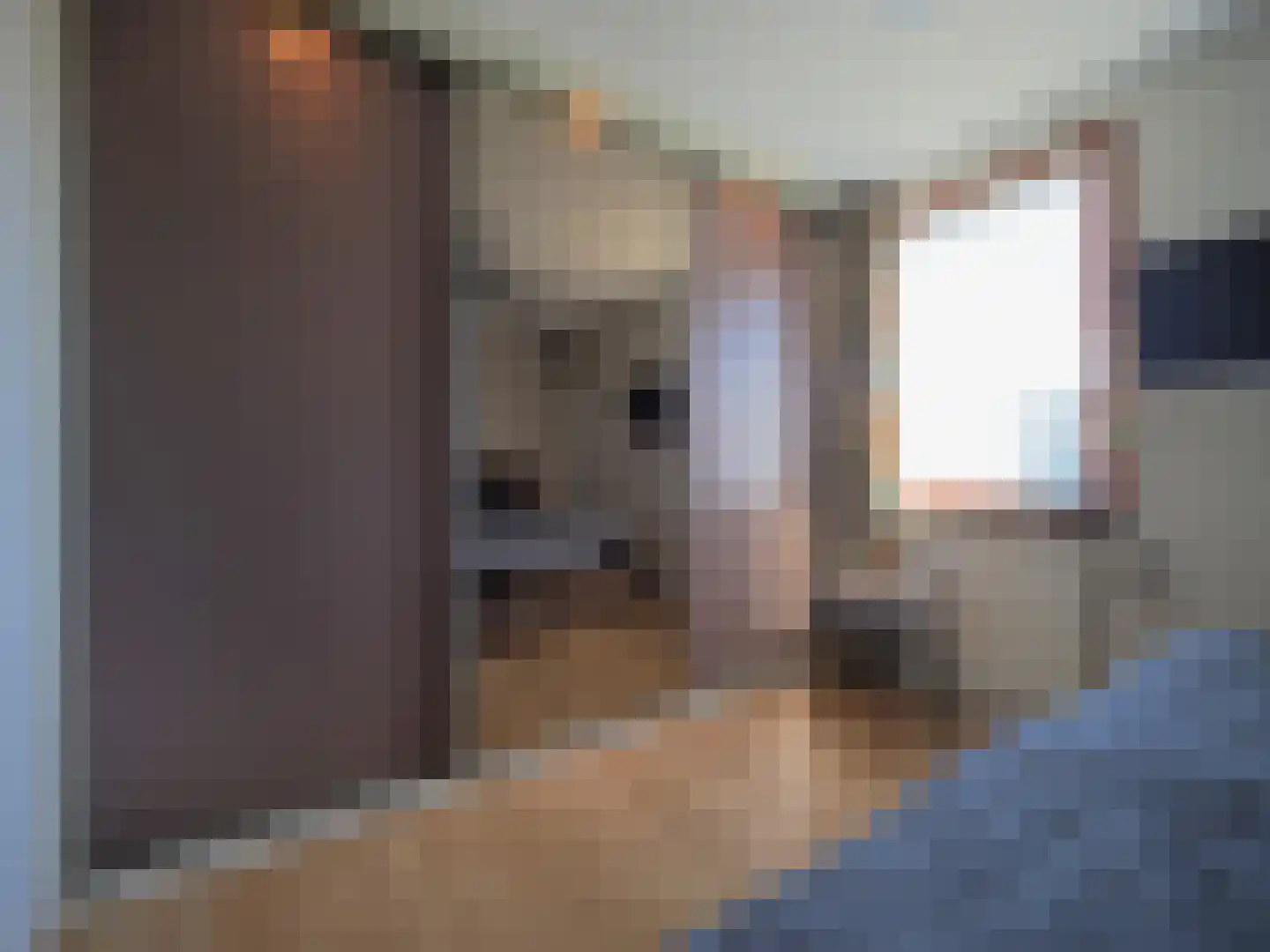 Blauw druifje 1 Papendrecht thumbnail 33