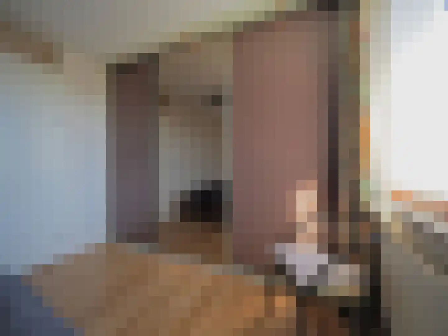 Blauw druifje 1 Papendrecht thumbnail 34