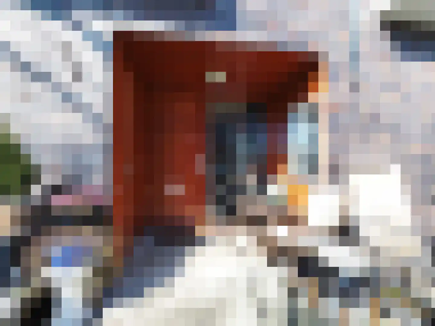 Blauw druifje 1 Papendrecht thumbnail 4