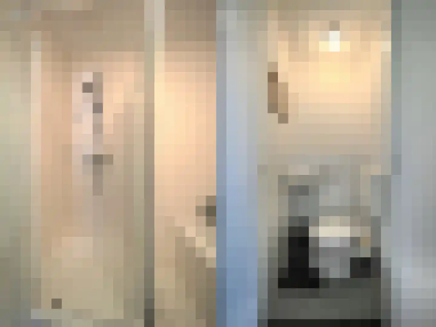 Blauw druifje 1 Papendrecht thumbnail 42
