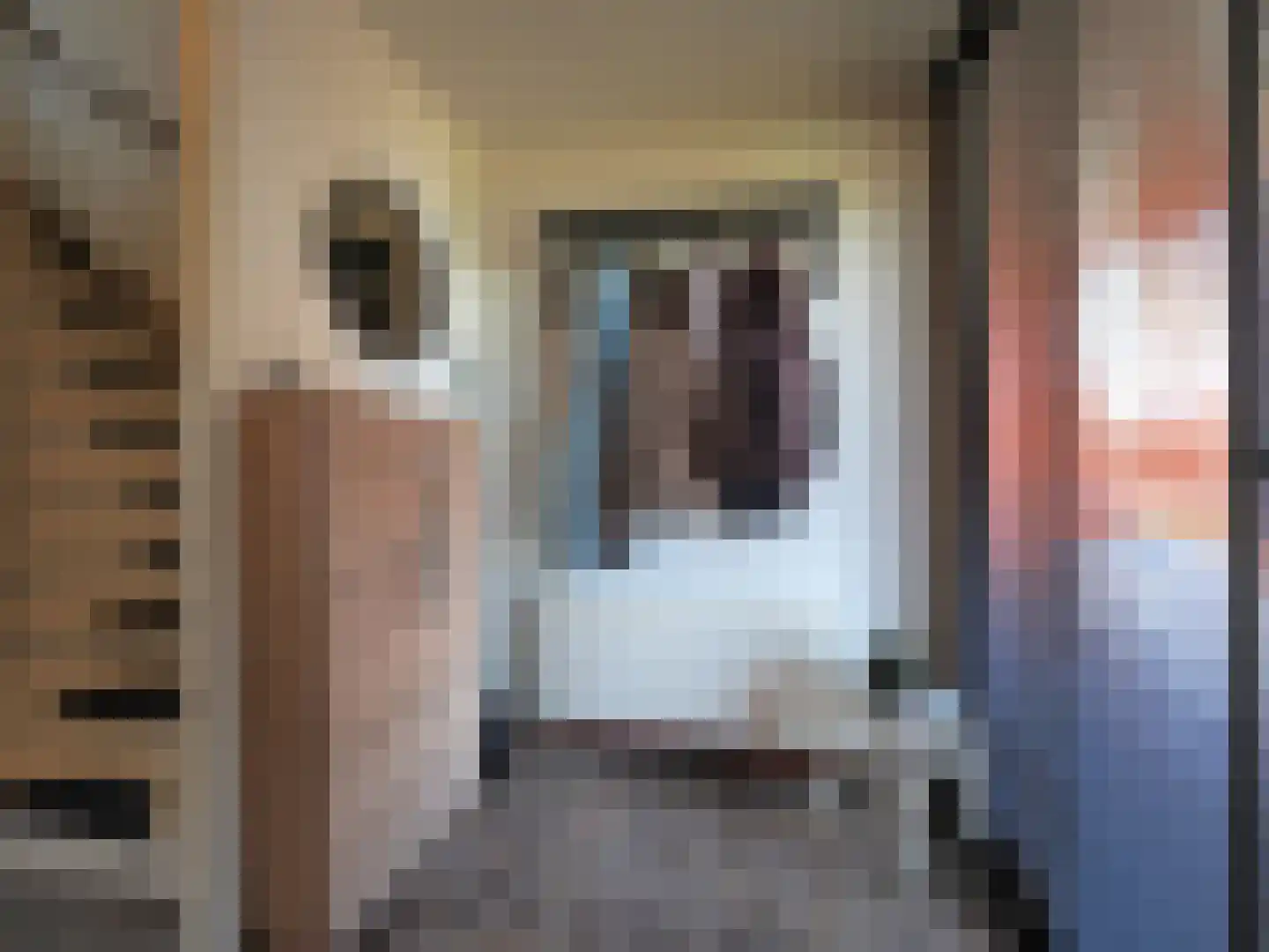 Blauw druifje 1 Papendrecht thumbnail 6