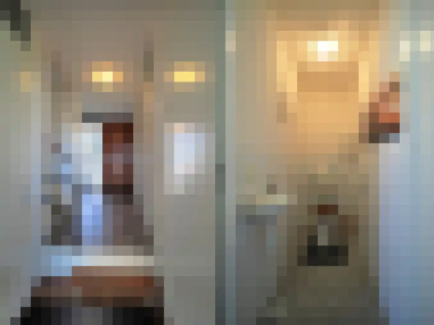 Blauw druifje 1 Papendrecht thumbnail 7