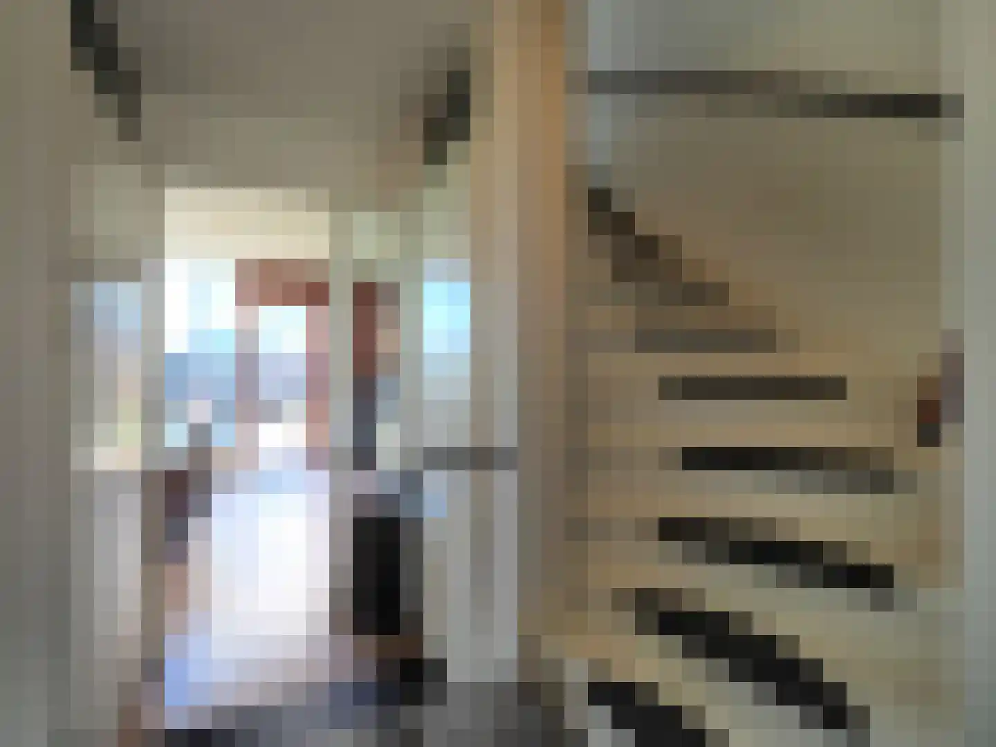 Blauw druifje 1 Papendrecht thumbnail 8