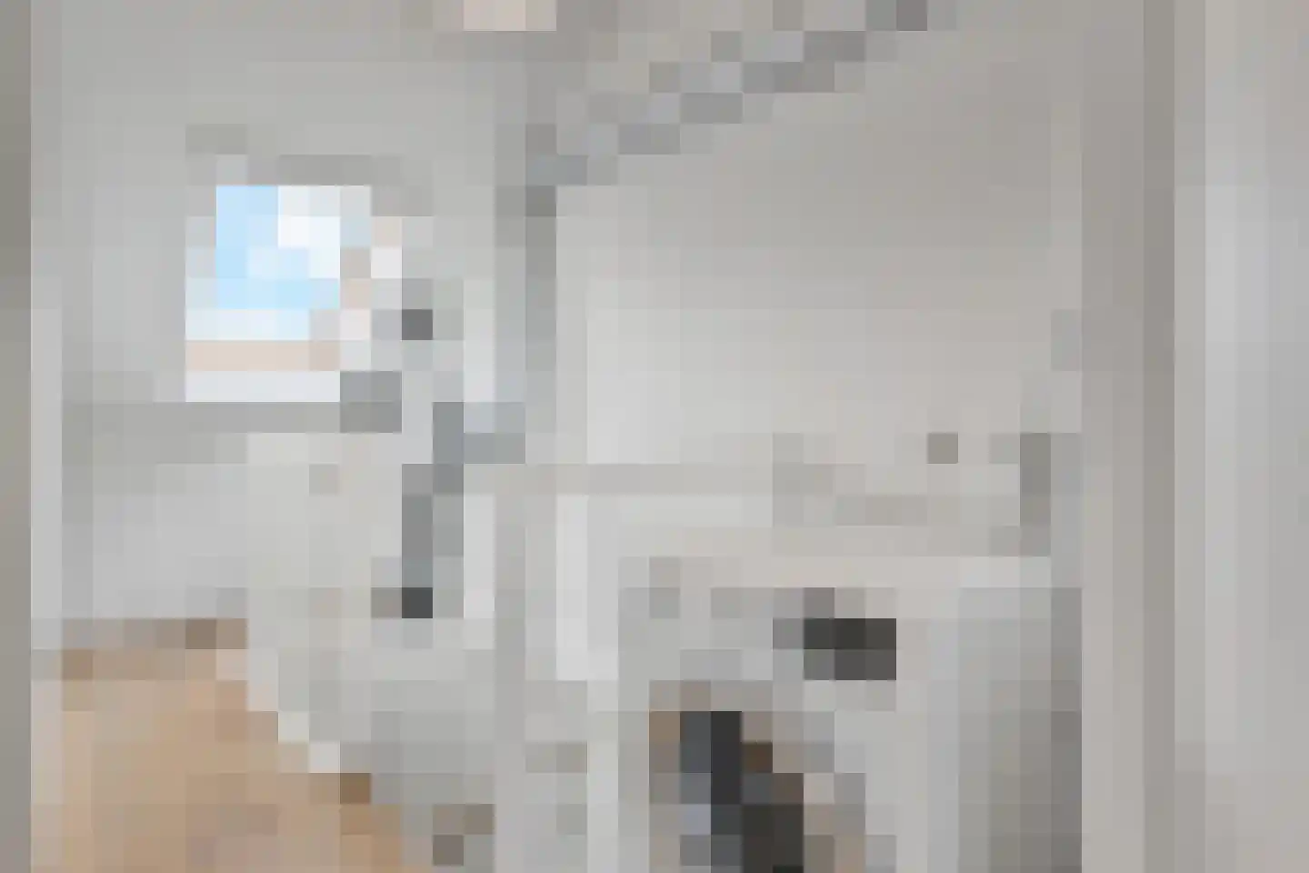 Blauw Glidkruid 35 Den Haag thumbnail 18