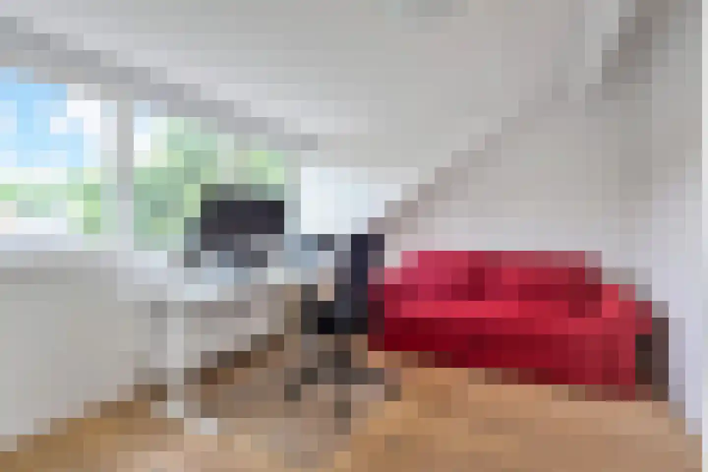 Blauw Glidkruid 35 Den Haag thumbnail 19